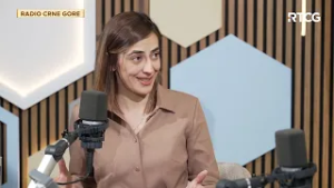 Vršnjačko nasilje - LINK