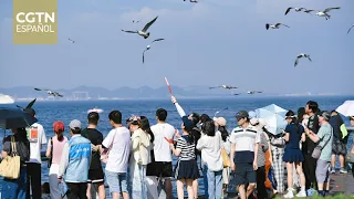 More and more foreign tourists are choosing diverse regions of China for their vacations