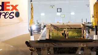 Giant pandas arrive in Atlanta from China | Here's what's next for them