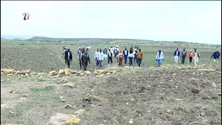 DWl  ድርቂ ዞባ ምብራቕ