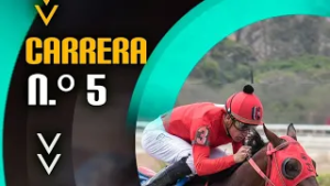 5TA CARRERA HIPICA - HIPODROMO LA RINCONADA 22 FEB 