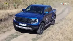 Showroom - Raptor Cecilia