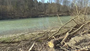 3285 VTV Magazin - 3. 3. 2026