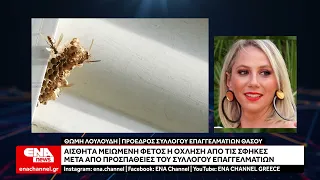 Θάσος: Αισθητά μειωμένη φέτος η όχληση από τις σφήκες