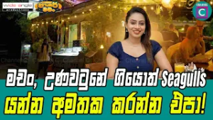 ? මචං, උණවටුණේ ගියොත් Seagulls යන්න අමතක කරන්න එපා! ? ඩයලොග් ටීවී නාලිකා අංක 42 ඔස්සේ පාරේ මචං එක්ක
