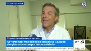 El calor altera a los insectos