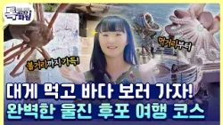 침샘 폭발! 울진 후포로 떠나는 알짜배기 가을 여행 🦀🌊