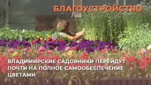 Владимирские садовники перейдут почти на полное самообеспечение цветами