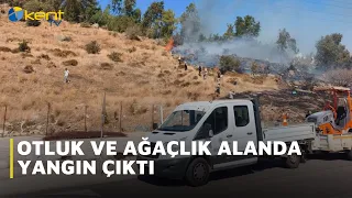 FIRE ERUPTS IN GRASSY AND WOODED AREA
