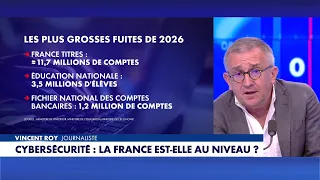 Vincent Roy: "France was a migratory sieve, it is now a digital sieve"