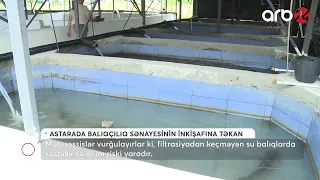Astarada balıqçılıq və akvakultura müəssisələrinin istehsal gücü artırılır