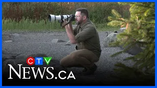 Newfoundland man named Canadian Geographic’s Wildlife Photographer of the Year