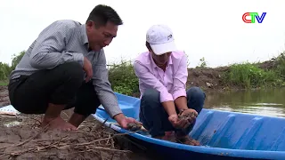 Bảo vệ sò huyết thời điểm giao mùa