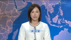 香港無綫︱2026年10月08日︱普通話4:15新聞｜TVB News