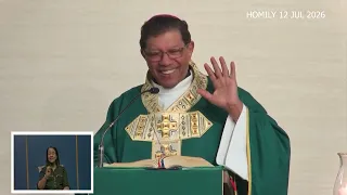 Homily - Fifteenth Sunday in Ordinary Time. 12th July 2026