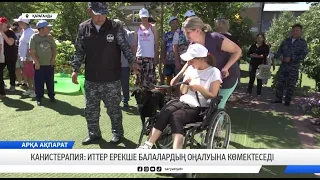 Канистерапия: иттер ерекше балалардың оңалуына көмектеседі