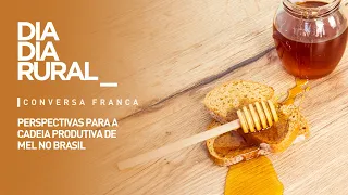 Outlook for the honey supply chain in Brazil