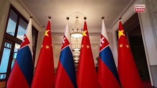 習近平與斯洛伐克總統會談　稱願打造穩定堅韌中斯戰略伙伴關係