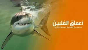 براري أعماق الفلبين اكتشف أغرب المخلوقات والكائنات في عالم البحار الغامضة | كويست عربية بدون موسيقى