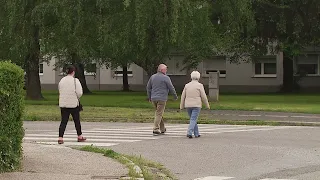 Urejanje zelenih površin po Mariboru