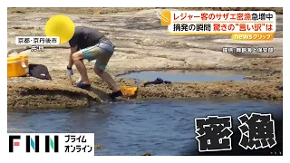 「サザエ200個…」急増するレジャー客の密漁 海上保安庁に摘発される瞬間…驚きの“言い訳”とは 京都・舞鶴市（2026年08月19日）
