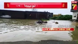 Flood Alert in Chhatrapur | ଲଗାଣ ବର୍ଷାରେ ବେହାଲ୍ ଛତ୍ରପୁର! ଡ୍ରେନ୍ ଜାମ୍, ରାସ୍ତାରେ ପାଣି, ଘରେ ଘରେ ଜଳବନ୍ଦୀ