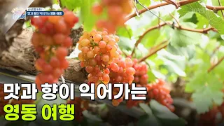 [신선행] 맛과 향이 익어가는 영동 여행 [생방송 굿모닝 대한민국] | KBS 260828 방송