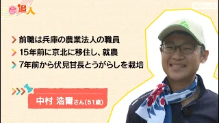 KBS Kyoto TV "Dream Chasers" Kyoto Edition (August 2026 Broadcast): Fushimi Amanaga Chili Peppers...