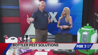 Look out for spiders