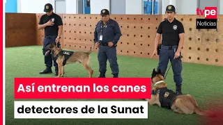 How are SUNAT dogs trained to detect drugs, currency, and contraband?