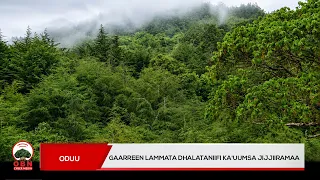 Harki qabeenya uumamaa kunuunsuun dhalootaaf galaa kaa'e galata argate.