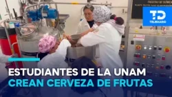 Banana and sweet potato beer? UNAM bets on a sustainable drink