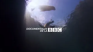 Galápagos, one of the islands that changed the world only on BBC Documentaries | Canal Capital