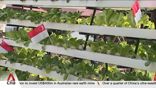 New Enabling Garden aims to create more varied job roles for persons with disabilities