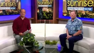 More than 100k licenses are set to expire, what you need to know