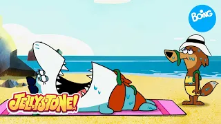 Jellystone | Un día de playa | Boing
