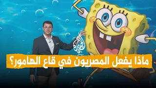شبكات | "قاع الهامور" يثير ضجة في مصر.. ما قصته؟