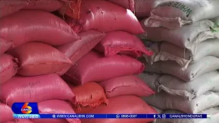 CODECOH condena perdida de grandes cantidades de granos básicos en bodegas del IHMA
