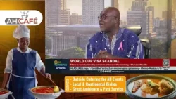 World Cup VISA Scandal: There's no evidence to link the Minister to this - Wonder Madilo