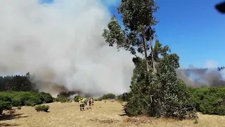 CA, WILDFIRES, AM