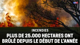 🔴🔥 Wildfires: more than 25,000 hectares have burned since the beginning of the year｜LCI