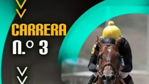 3ERA CARRERA HIPICA - HIPODROMO LA RINCONADA 22 FEB 