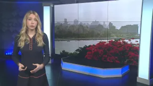 President Donald Trump: Cuba will 'fall pretty soon'