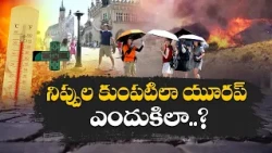 యూరప్‌లో భానుడి భగభగలు.. హీట్‌వేవ్స్‌తో 50 వేల మందికి పైగా మృతి || Idi Sangathi