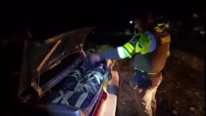 372 килограмма марихуаны изъято в сельской местности Питалито, Уила