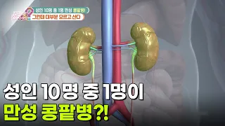 [의학 팩트체크] 성인 10명 중 1명이 만성 콩팥병?! 그런데 대부분 모르고 산다 [무엇이든 물어보세요] | KBS 260928 방송