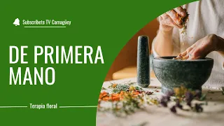 Terapia floral/ Salud/ Televisión Camagüey