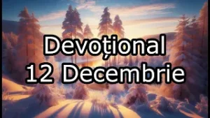 12 Decembrie