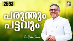 Morning Devotion | The Eagle and the Kite | PR. BABU CHERIAN | EPI # 2593