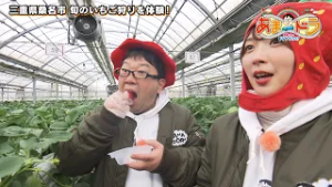 【今が旬！】いちご狩りが楽しめる ナガシマファーム（三重県桑名市）【あまドラ～天野っちのドライブしよう！！～】